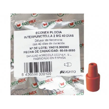 ECONEX PLODIA INTERPUNCTELLA