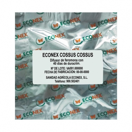 ECONEX COSSUS COSSUS