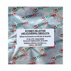 ECONEX HELIOTHIS (HELICOVERPA) OBSOLETA (40 days)