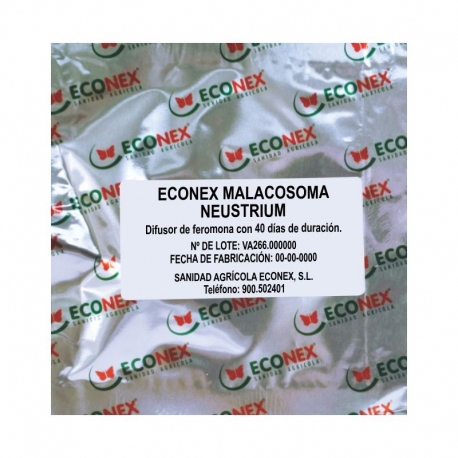 ECONEX MALACOSOMA NEUSTRIUM (40 días)