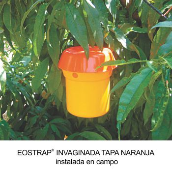 eostrap-invaginada-tapa-naranja-instalad